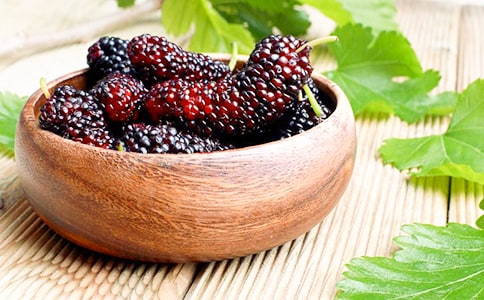 ժɣ�����ļ���15ƪ