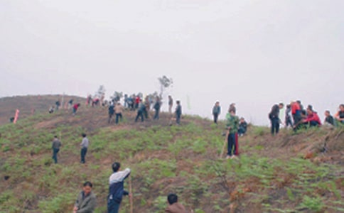 ��ʿ��Ĺ��������900��