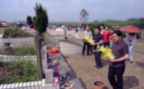 【精選】小學(xué)生掃墓作文匯編7篇