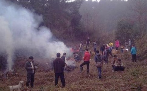 小學生掃墓作文600字四篇