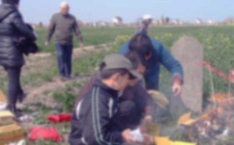 ���xС�W����Ĺ����300��5ƪ