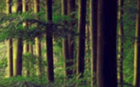 ɭ�ֱ��U�ϰ��깤�����Y(ji��)