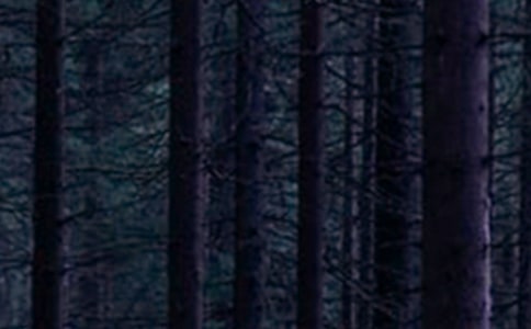 ɭ������(gu��)��(y��u)������