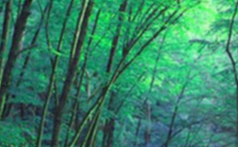 ɭ�ַ���Ę�(bi��o)�Z