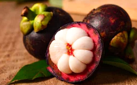 南山竹海之旅作文