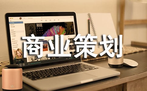 商業(yè)策劃書(shū)格式