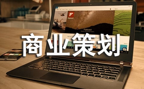 項(xiàng)目商業(yè)策劃書