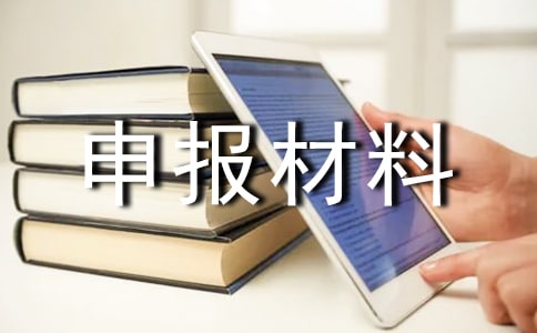 各行業(yè)優(yōu)秀團(tuán)隊(duì)申報(bào)材料范文