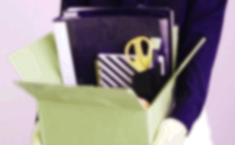 失業(yè)保險2009年工作總結(jié)范文