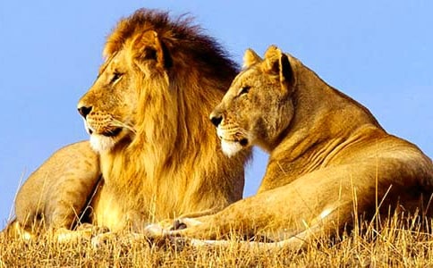 ��ֻС�{�ӽ̌W�OӋ�����x18ƪ��