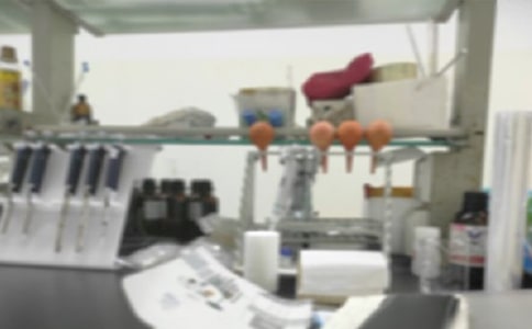 實驗室自查報告(推薦)