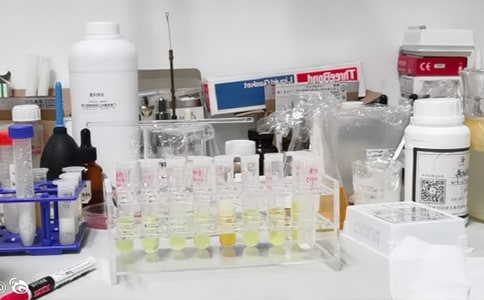 ����(sh��)�(y��n)�ҹ������Y(ji��)