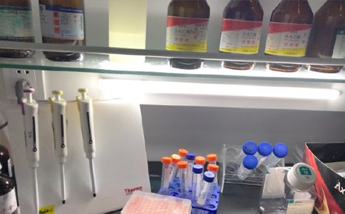 ����ҙn�������ƶ�(����)