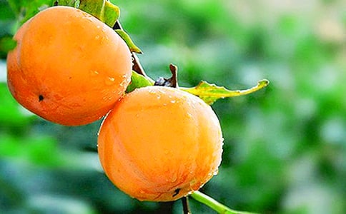 �Ґۼ��l(xi��ng)������С�W(xu��)�����ģ����x3ƪ��