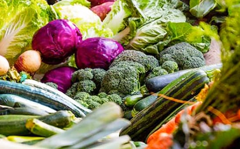 上半年蔬菜工作總結(jié)匯報(bào)