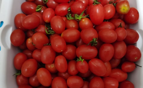 中班美術(shù)活動奇妙的水果樹教案