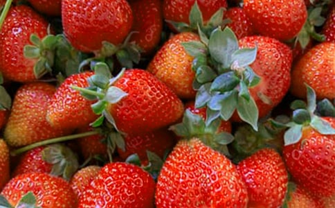 ˮ����؛��ͬ15ƪ(��)