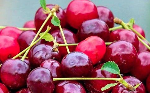 ����ϲ�g��ˮ����(y��u)������