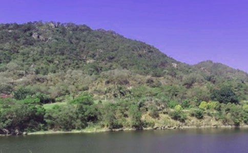 水庫管理局上半年工作總結