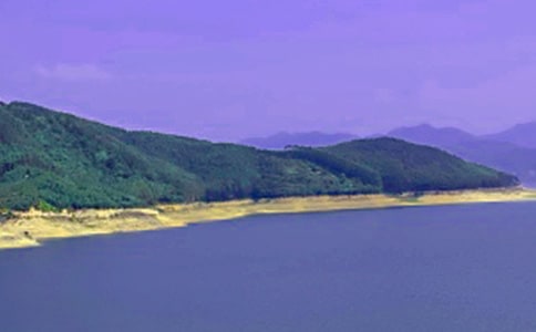 水庫(kù)黨支部保先活動(dòng)整改提高階段實(shí)施意見(jiàn)-范文