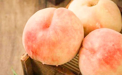 �(y��ng)ɽˮ�������ģ�����2ƪ��