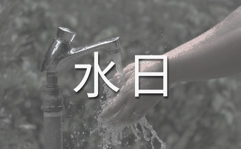 世界水日宣傳活動(dòng)總結(jié)