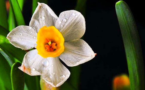 ��ˮ������