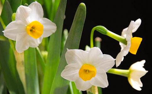 �P(gu��n)�ڌ�ˮ������