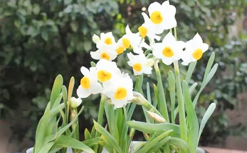 ˮ�ɻ����ģ���Ʒ15ƪ��