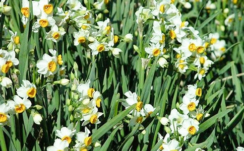 �����á�ˮ�ɻ�����