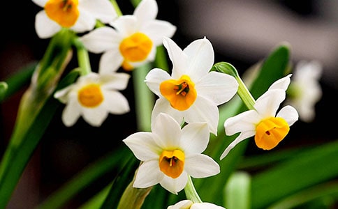 ��ˮ�ɻ�����15ƪ