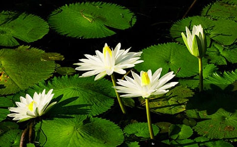 ˯ɏ��(y��u)�����ģ�ͨ��19ƪ��