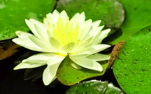 �茑(xi��)˯ɏ�ă�(y��u)�����ģ�ͨ��35ƪ��