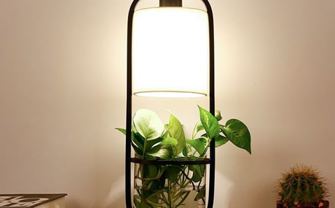 ��B�_��������