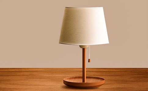 小臺(tái)燈優(yōu)秀作文