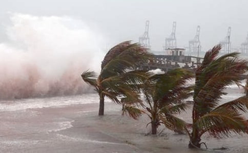 有關臺風的作文