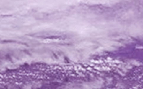 臺風(fēng)后工作總結(jié)(通用12篇)