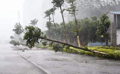 村關(guān)于防臺(tái)風(fēng)"山竹"的工作總結(jié)