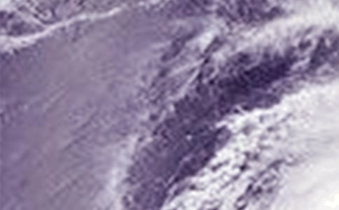 臺(tái)風(fēng)來(lái)了作文優(yōu)秀【薦】