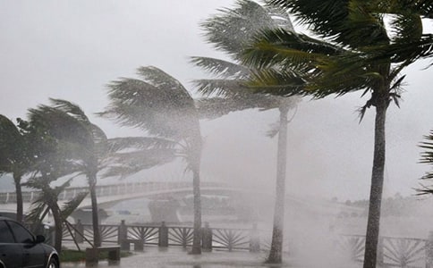 �_�L��������