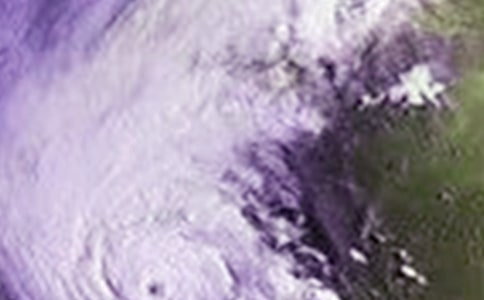 寫臺(tái)風(fēng)的作文