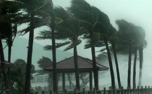 �_(t��i)�L(f��ng)