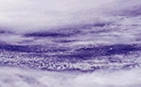 �_(t��i)�L(f��ng)��(l��i)������(��)