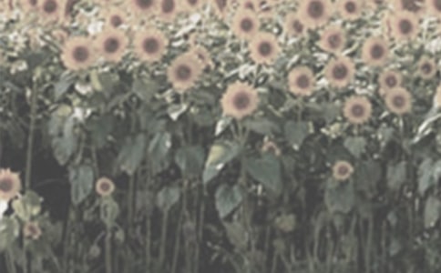 ��̫ꖻ����а����g(sh��)�̰�