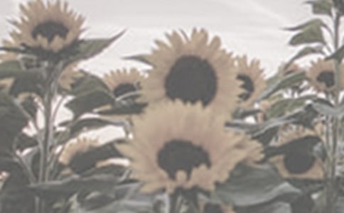 ̫ꖻ�Ԓ�}����