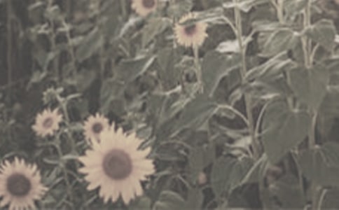 ��ϲ�g��̫ꖻ�����