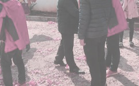 高三學(xué)生作文:探親記