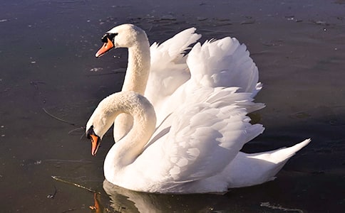 ���Z������500��