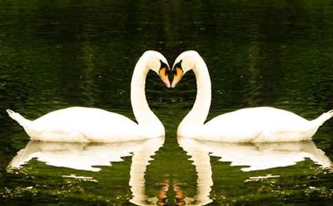 Ұ���Z����