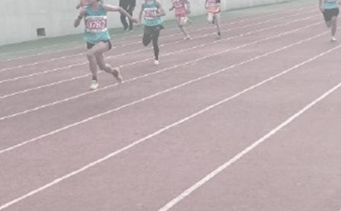 �Ӗ���������Y(ji��)